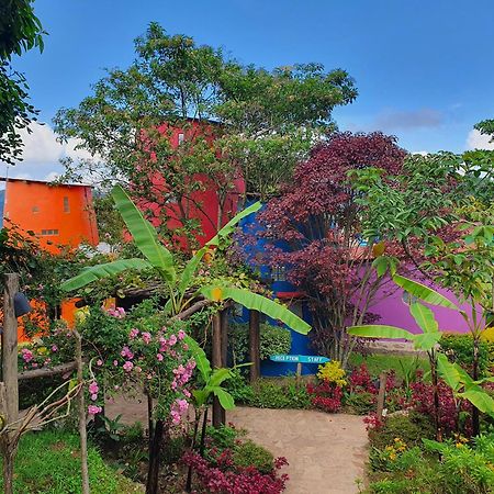 Chameleon Hill Forest Lodge Bwindi Luaran gambar