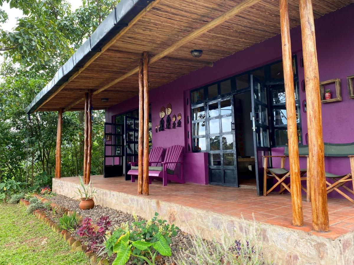 Chameleon Hill Forest Lodge Bwindi Luaran gambar