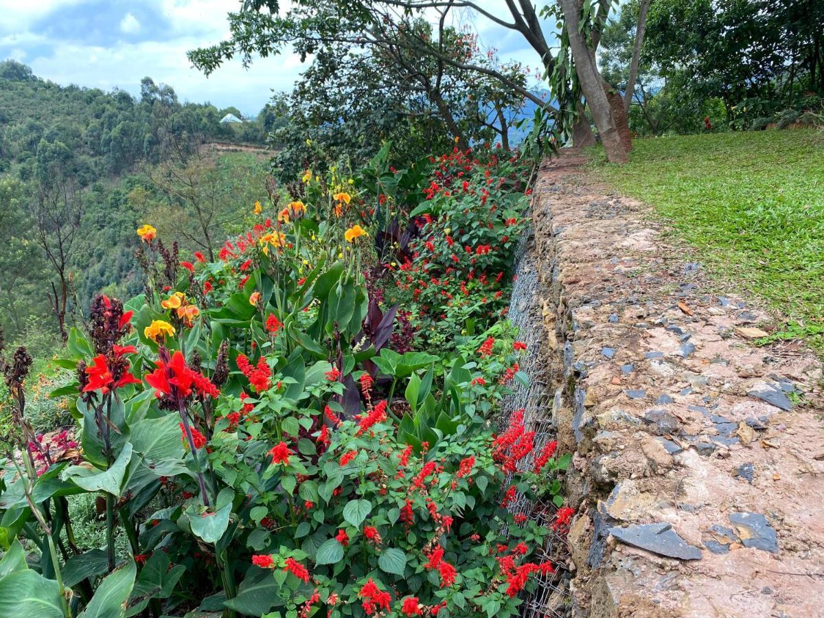 Chameleon Hill Forest Lodge Bwindi Luaran gambar