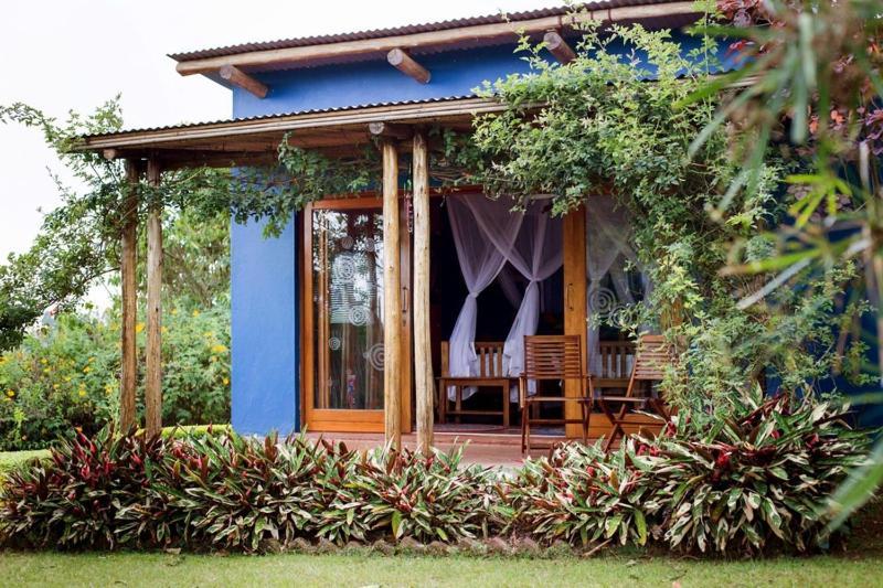 Chameleon Hill Forest Lodge Bwindi Luaran gambar