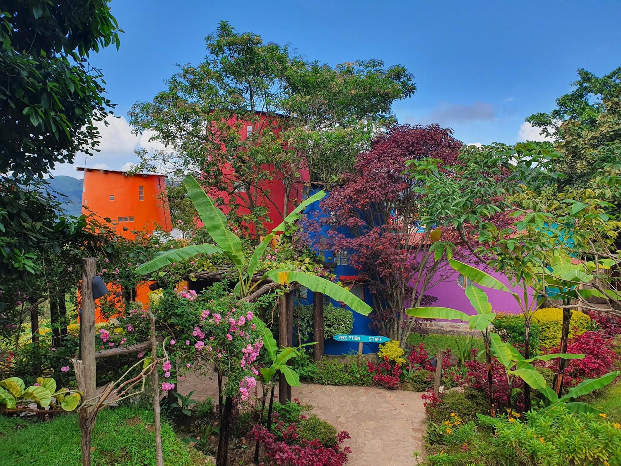 Chameleon Hill Forest Lodge Bwindi Luaran gambar